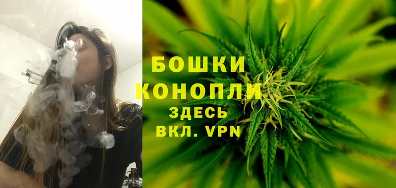 Бошки Шишки Ganja  наркотики  Венёв 